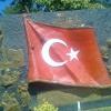 berkayef