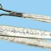 muhammed-sami