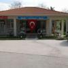 alifi