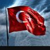 elifcey