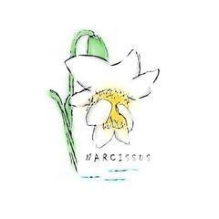 Narcissus Cafe Restaurant, Mordoğan Menü Fotoğrafı