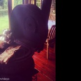 Trikos Kır Kahvaltısı & Et Mangal, Terkos  Menü Fotoğrafı Orta