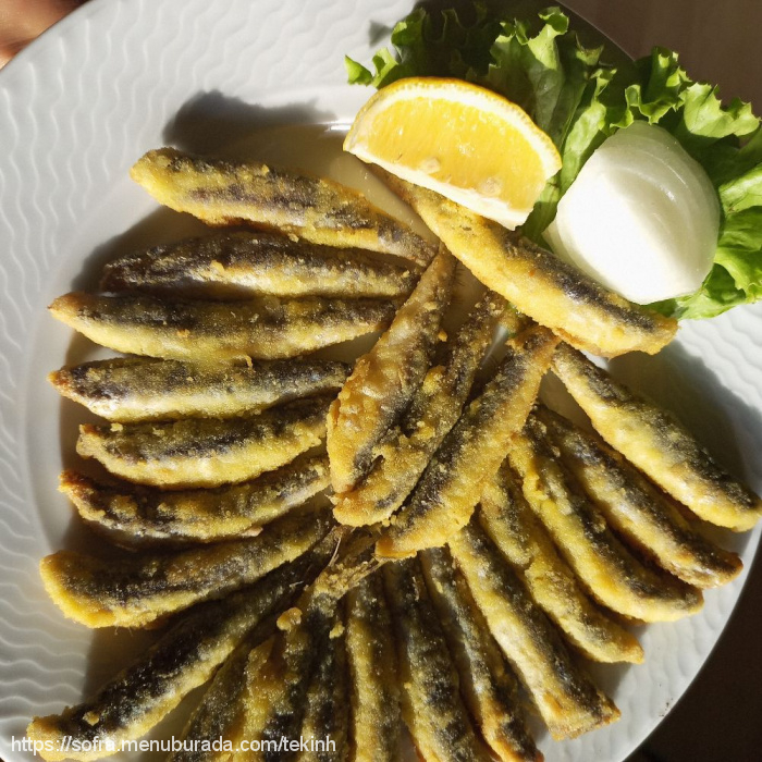 Erkanın Yeri, Kıyıköy Belediyesi Menü Fotoğrafı