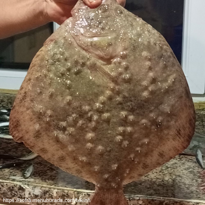 Erkanın Yeri, Kıyıköy Belediyesi Menü Fotoğrafı