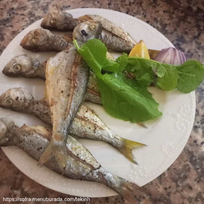 Erkanın Yeri, Kıyıköy Belediyesi Menü Fotoğrafı