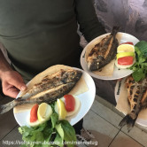 Armada Cafe, Çamaltı  Menü Fotoğrafı Orta