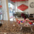 Teseboğlu Baklava, Cumhuriyet menü fotoğrafı küçük