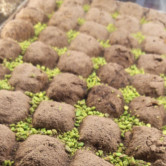 Kırpidesi, Yenişehir  Menü Fotoğrafı Orta