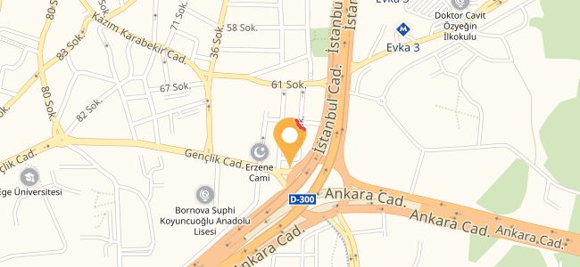 Dominos Pizza, Bornova