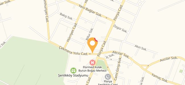 Dominos Pizza Florya, Basınköy (0212 580 38..) Menü Burada