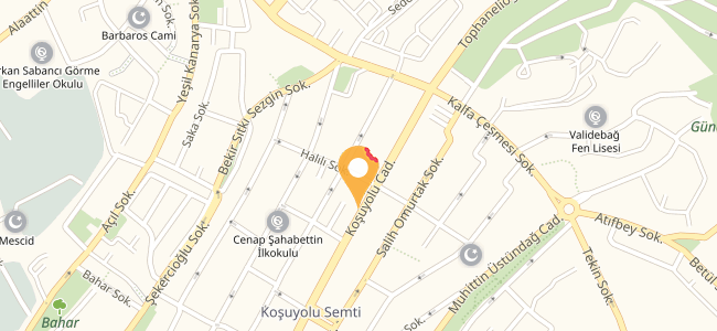 Dominos Pizza Koşuyolu, Kadıköy (0216 545 90..) Menü Burada