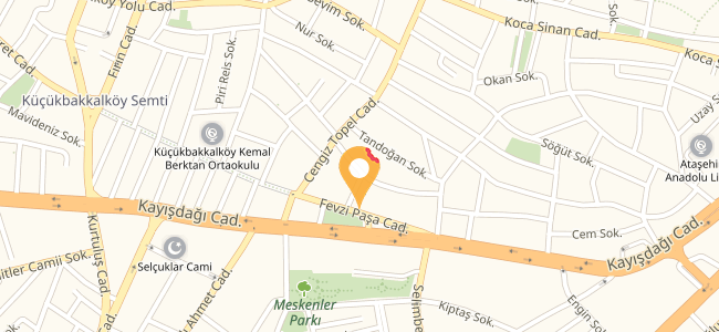 Dominos Pizza Küçükbakkalköy, Ataşehir (0216 469 56..) Menü Burada