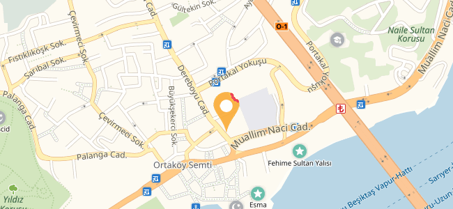 Dominos Pizza Ortaköy, Beşiktaş (0212 259 26..) Menü Burada
