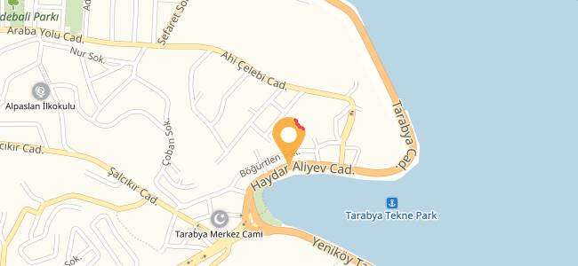 dominos pizza tarabya