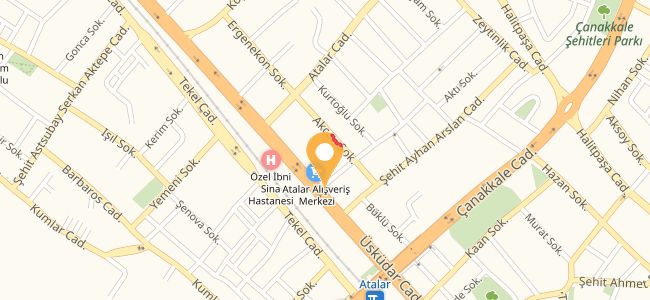 pizza bulls kartal