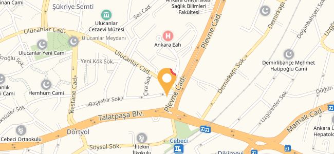 Azim Piknik, Talatpaşa