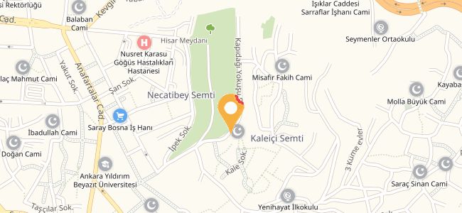 Palyoş Konağı, Ulus