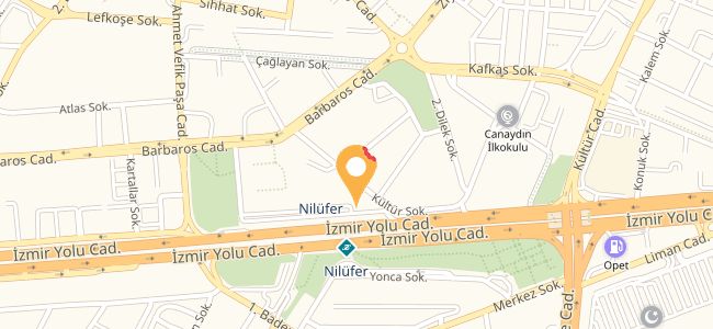 Orestiya Seramik, Nilüfer