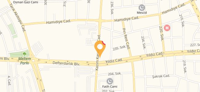 Pasaport Pizza, Özdilek