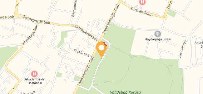 Adile Sultan Kasrı Ögretmenevi, Koşuyolu