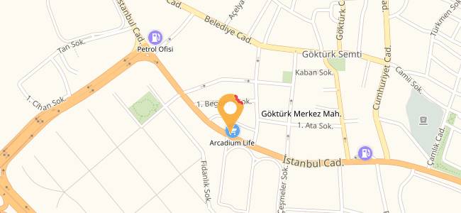 Pötinin Atölyesi, Göktürk