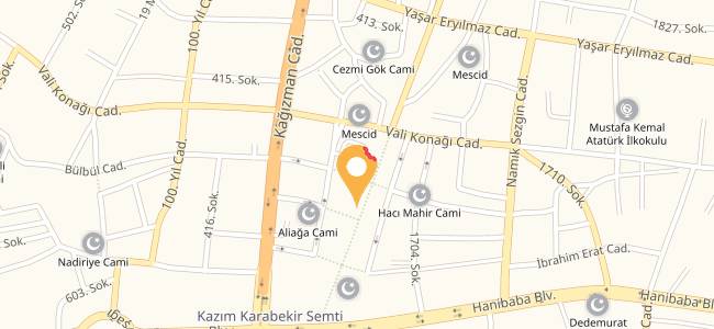 Cadde Pizza, Leylek Pınar