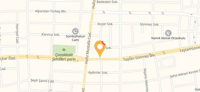 Papyon Cafe, Yeni
