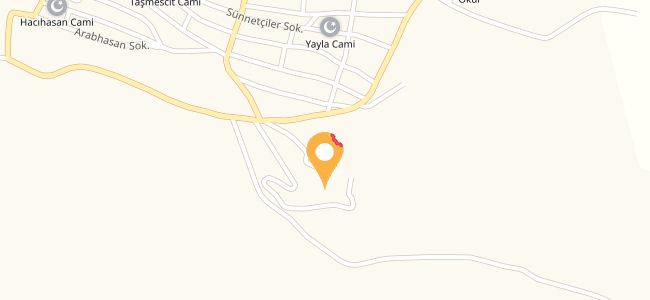 Santral Caffe Mesire Park Alanı Dayının Yeri, Taşmescit