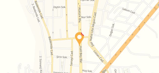 Pizza Milas, Ahmet Çavuş Hayıtlı