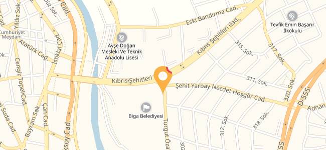 Biga Burger King, Sakarya