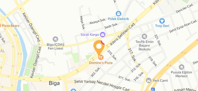 Dominos Pizza, Sakarya