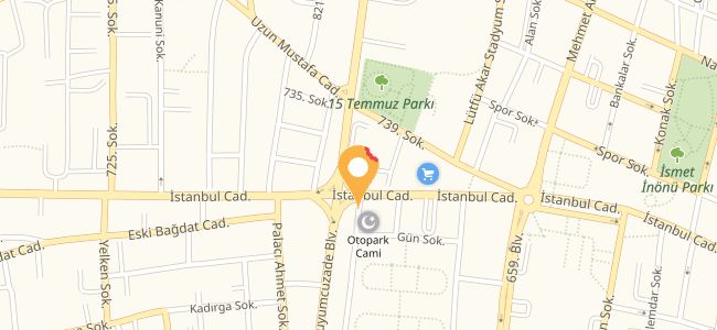 Cihat Hamburger, Camiikebir