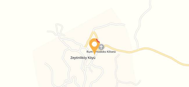 Cicirya, Zeytinlikköy Köyü