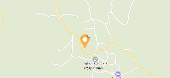 Nurşenin Köy Evi, Yeşilyurt Köyü