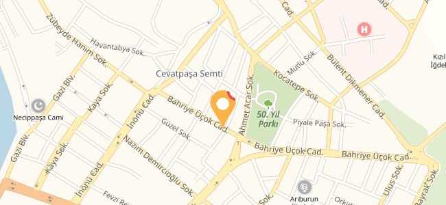 Zeytindalı Ev Yemekleri, Cevat Paşa