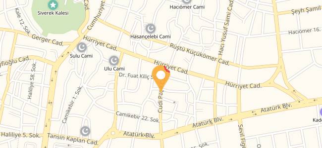 Mersin Tantuni Siverek, Camikebir