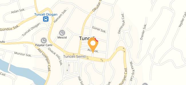 Kardelen Tantuni, Moğultay