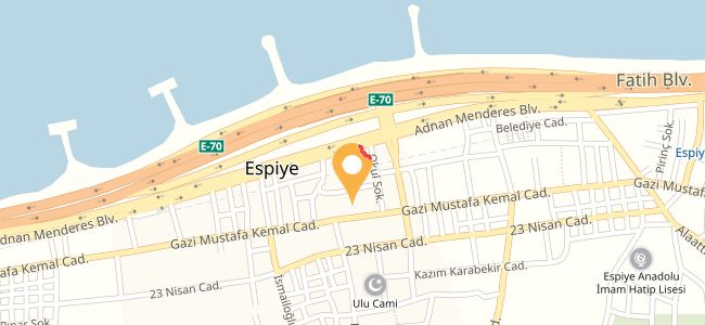 Saklı Bahçe Cafe/Restaurant, Espiye Merkez