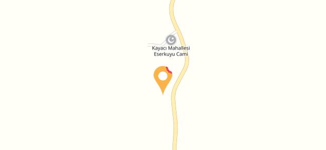 Uslular Dinlenme Tesisi Restorant, Kayacı