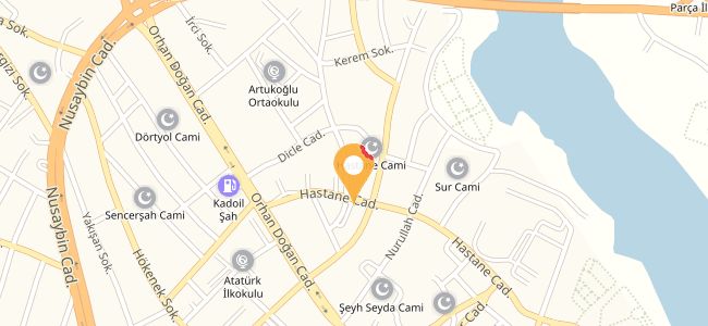 Büyük Şef Ocakbaşı, Nur