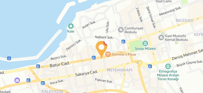 Dominos Pizza, Camiikebir