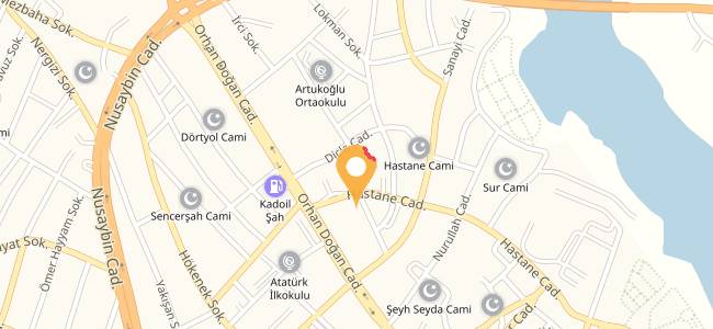 Hawar Kitap & Cafe, Nur
