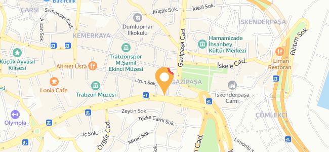 Dominos Pizza, Gazipaşa