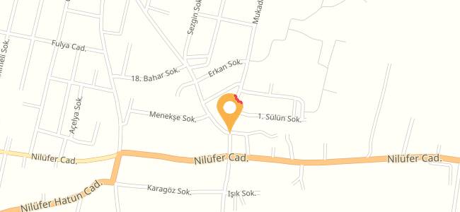 Dominos Pizza, Nilüfer
