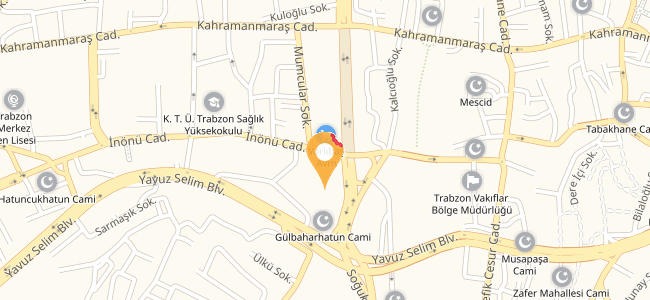 kahramanmaraş pasaport pizza telefon numarası