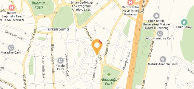 Aile Ev Yemekleri & Bayköfte, Abbasağa