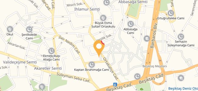 Ali Baba İskender, Beşiktaş