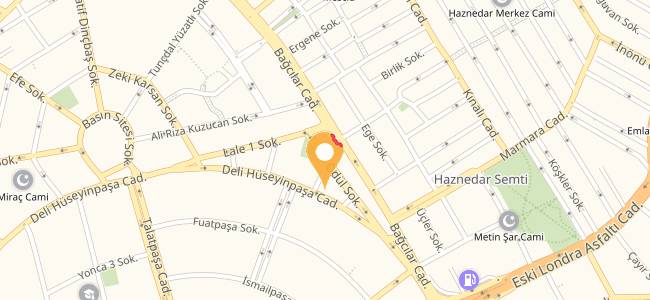 Papatya Cafe Ev Yemekleri, Haznedar