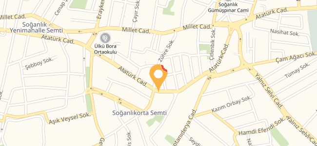 Kristal Döner, Soğanlık