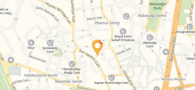 Önder İskender, Beşiktaş